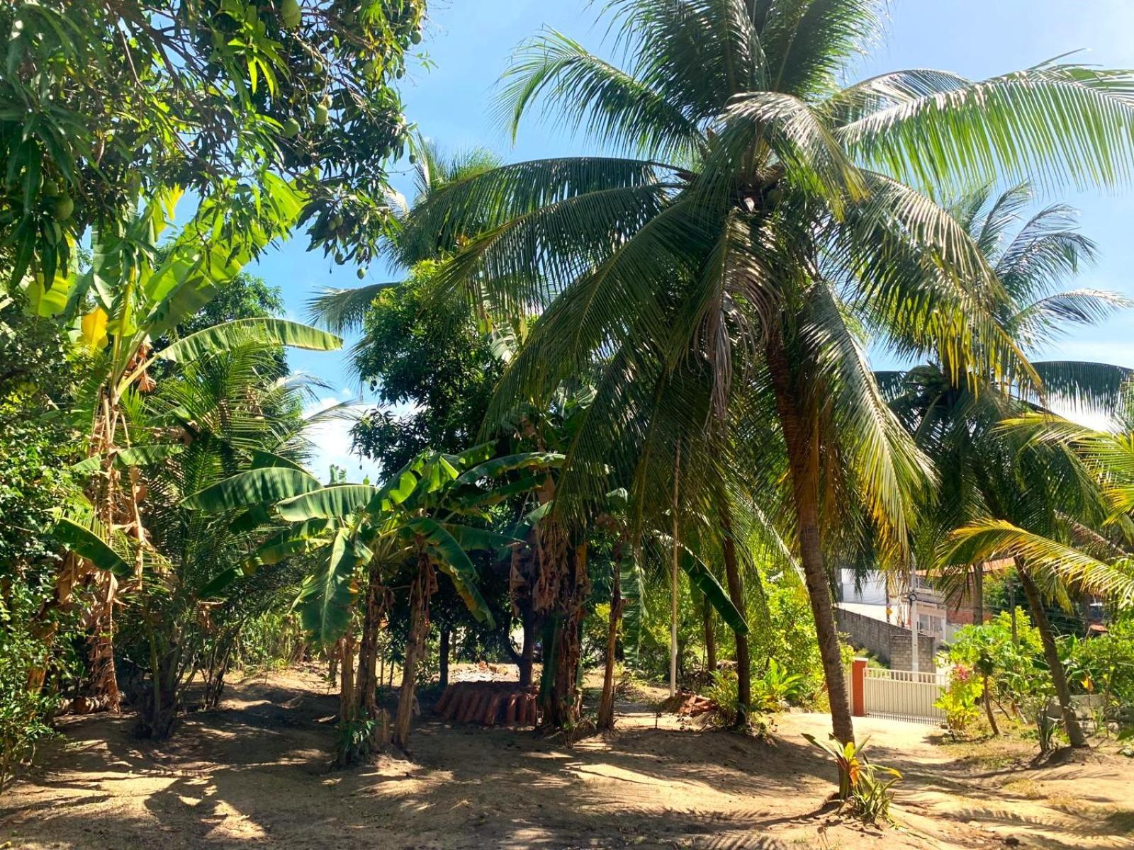 Maceió Jacarecica Haus酒店 外观 照片